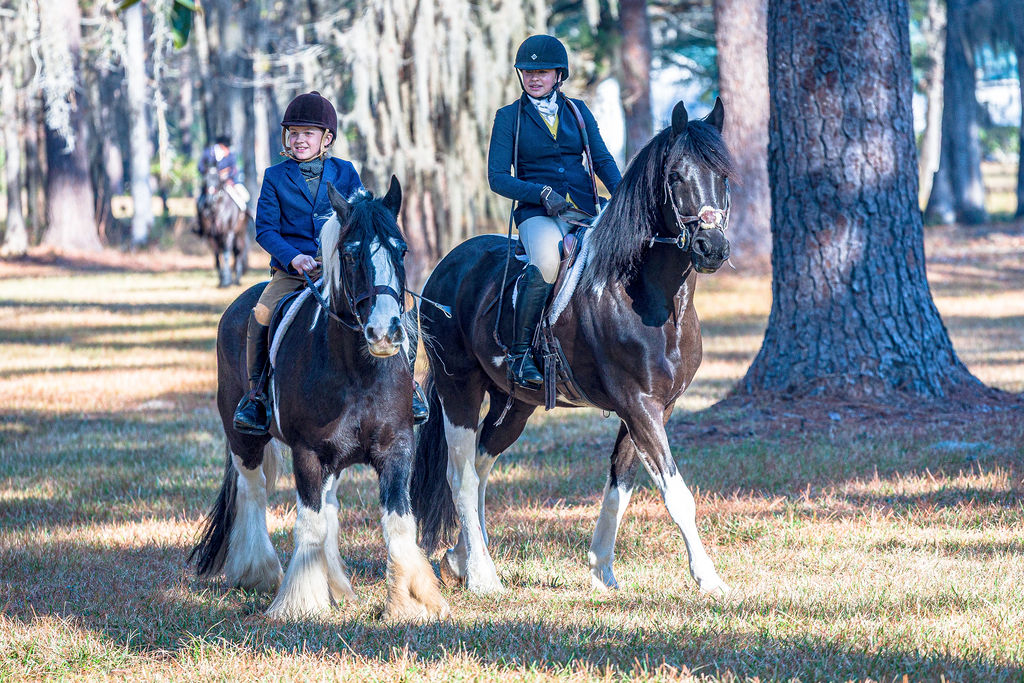 Two junior riders mounted among pine trees.