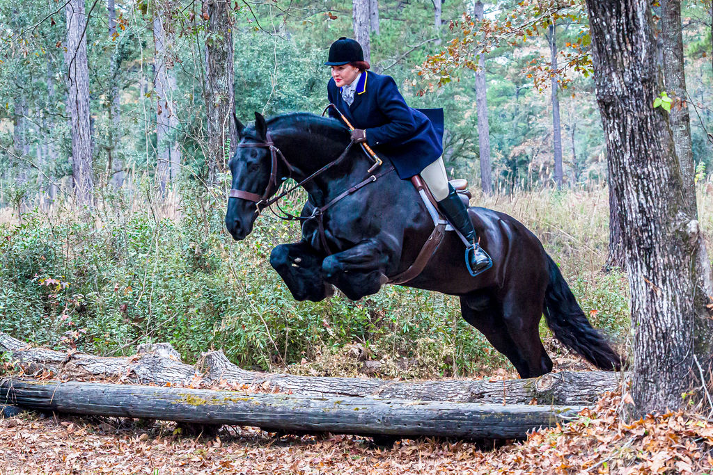 A mounted rider jumping a fallen log in wooded country.