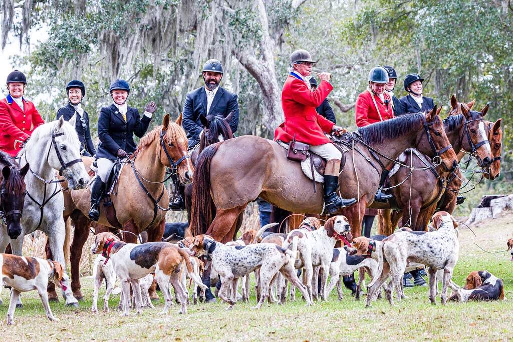 The mounted field gathered beneath live oaks with the pack of hounds in front.