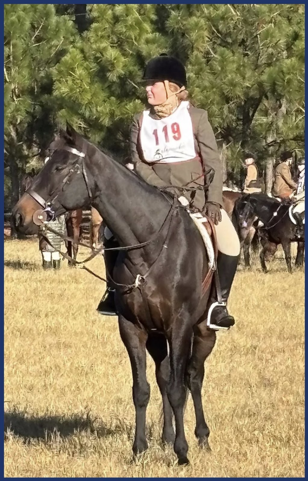 A rider wearing number 119 mounted on a dark horse.