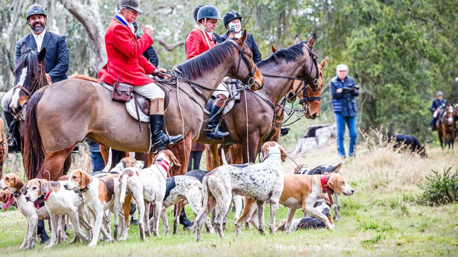 Mounted riders in scarlet and black coats waiting with the pack of hounds gathered on the grass in front of them.