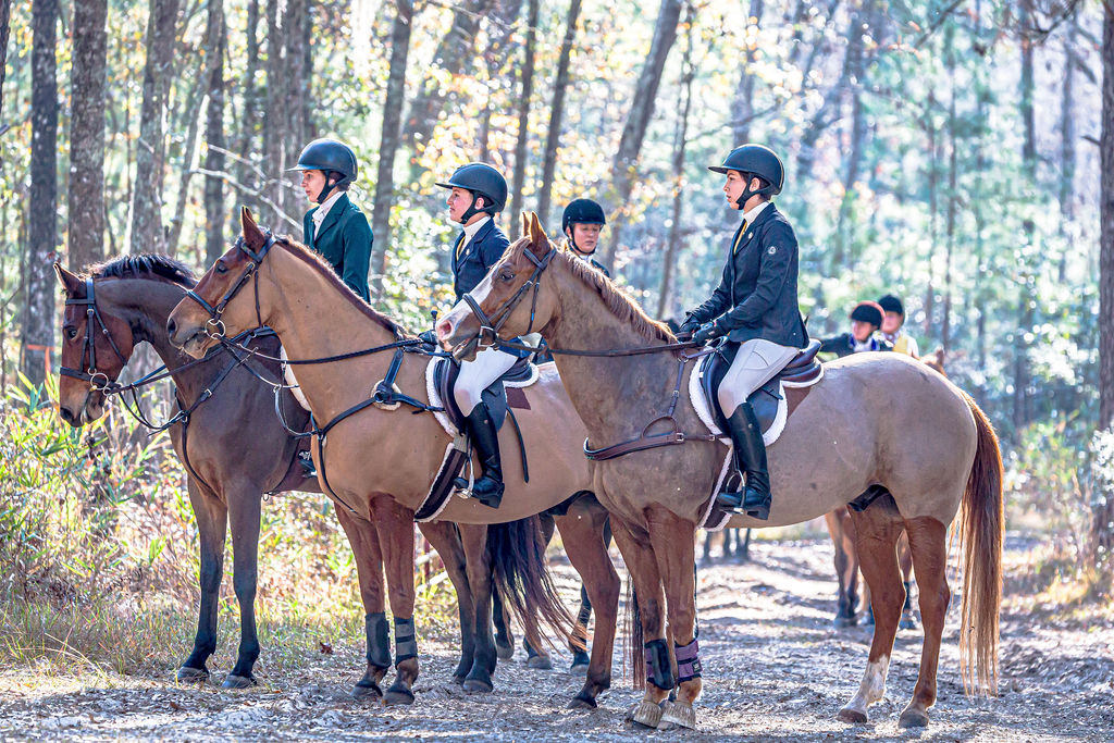 Three junior riders mounted together in pine woods.