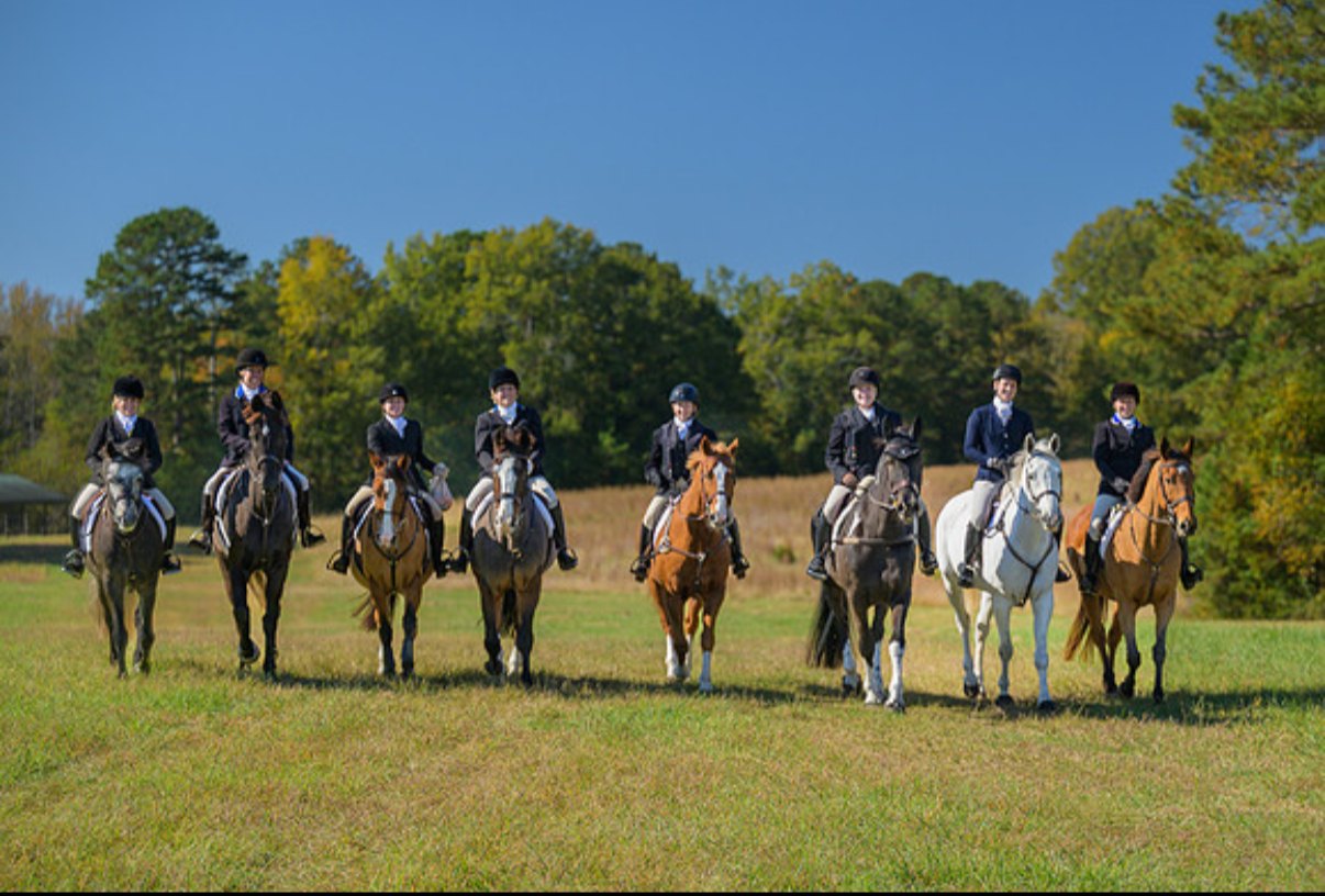A long line of mounted members in formal hunt attire drawn up across an open field at the meet.
