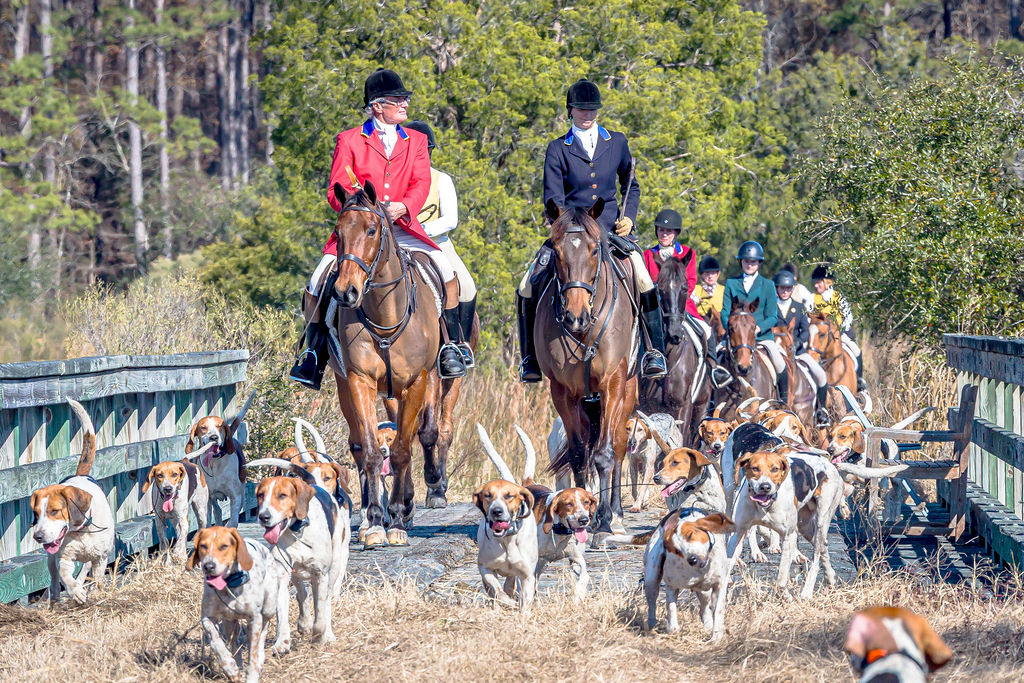 Hounds moving over a wooden bridge with the mounted field following through the country.