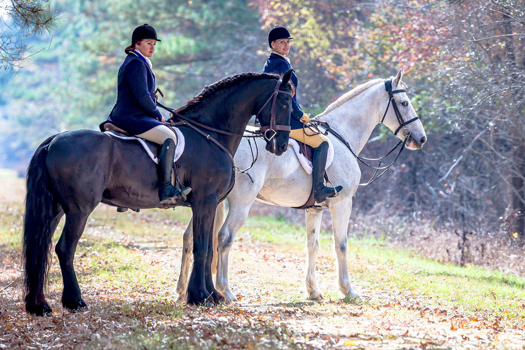 Two mounted riders waiting together in sunlit woodland country.