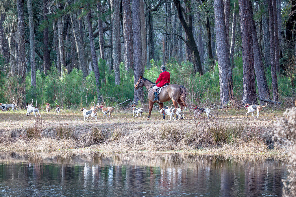 A mounted rider in scarlet moving with hounds through wide woodland beside water.