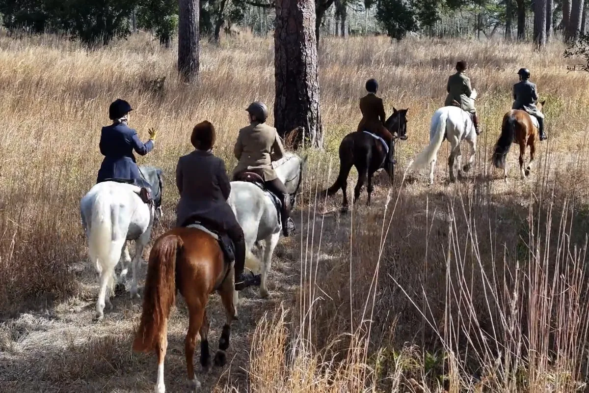 Riders moving away from the camera along a sandy track through winter grass and pine woods.