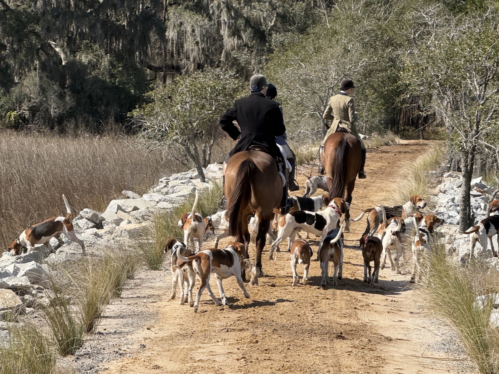 Two mounted riders moving away along a sandy causeway with the pack of hounds gathered around them.