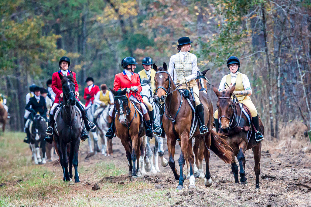 A group of mounted riders travelling together through wooded country.