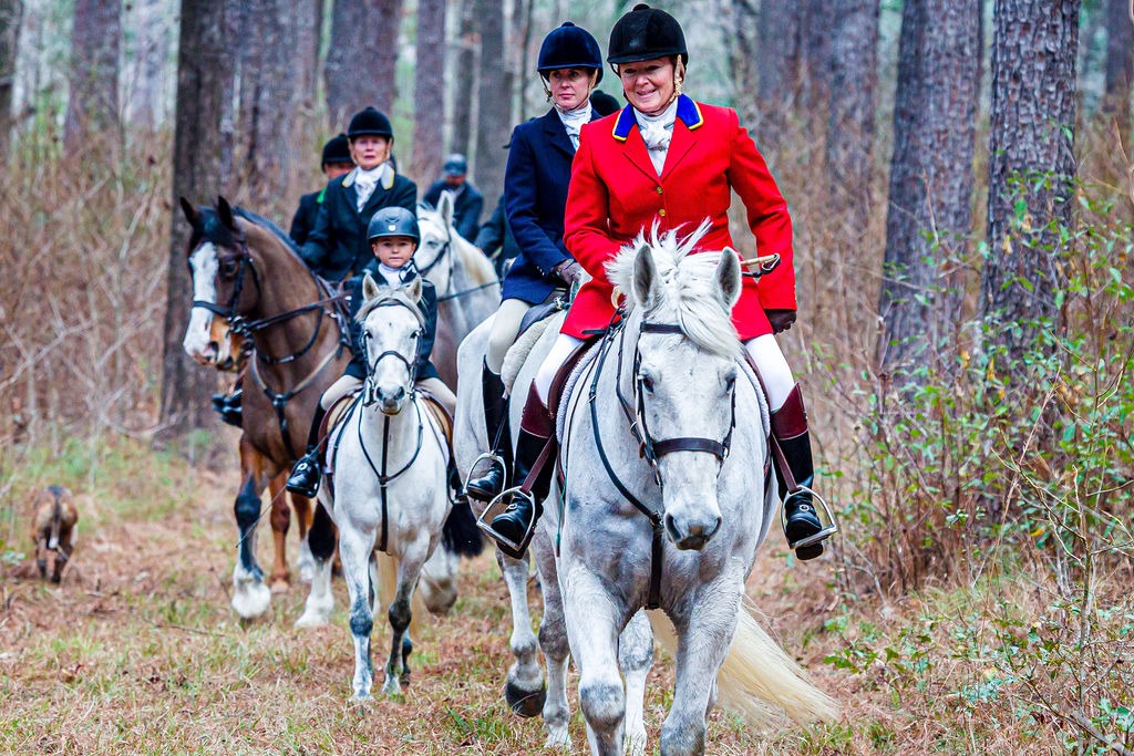 A line of mounted riders travelling along a narrow path through pine woods.